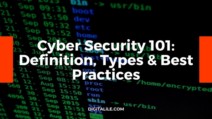 Cyber Security 101: Definition, Types +Best Practices